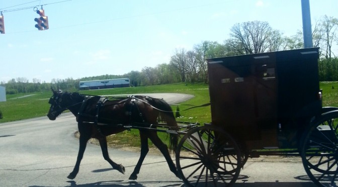 Amish Kutsche